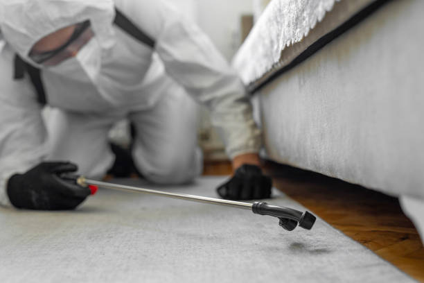 Professional Bed Bug Control technician working in Barnstable County County, MA